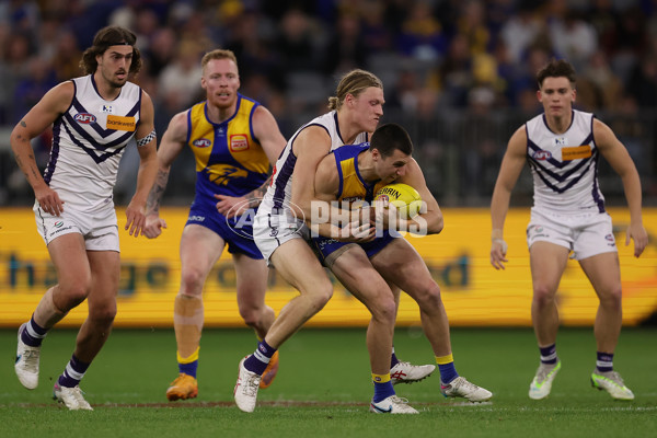 AFL 2023 Round 22 - West Coast v Fremantle - A-41969467