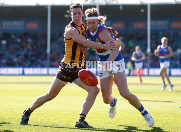 AFL 2023 Round 22 - Hawthorn v Western Bulldogs - A-41995012