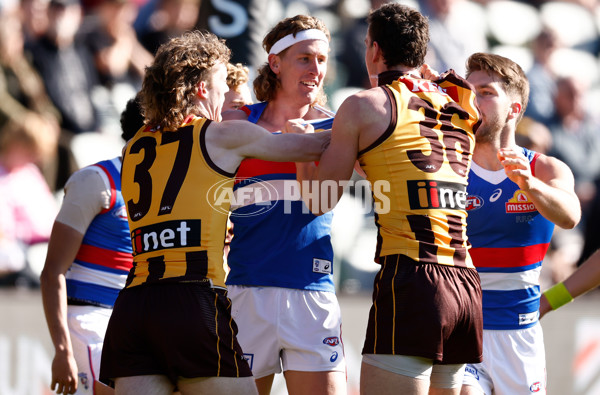 AFL 2023 Round 22 - Hawthorn v Western Bulldogs - A-41995055
