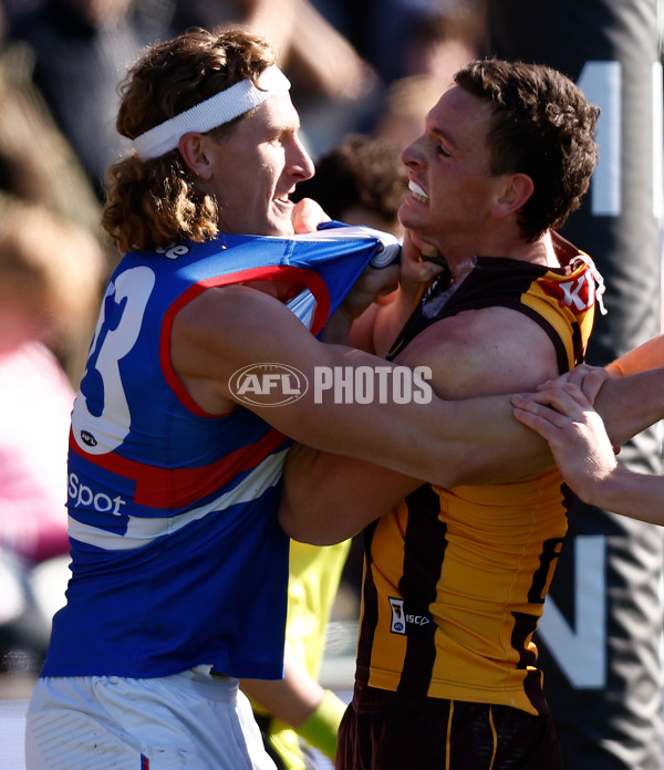 AFL 2023 Round 22 - Hawthorn v Western Bulldogs - A-41996244