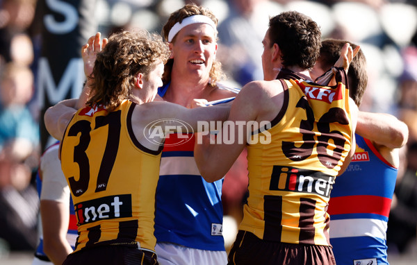 AFL 2023 Round 22 - Hawthorn v Western Bulldogs - A-41996246