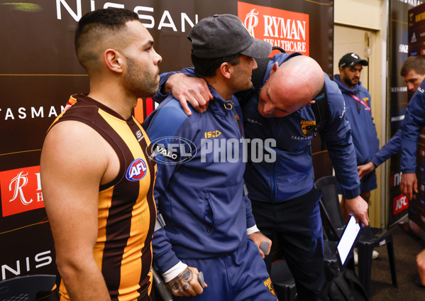 AFL 2023 Round 22 - Hawthorn v Western Bulldogs - A-42004708