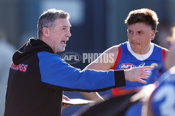 AFL 2023 Round 22 - Hawthorn v Western Bulldogs - A-42024432