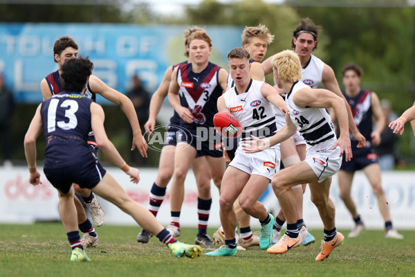 Coates League Boys 2023 - Sandringham v Northern Knights - A-42114955