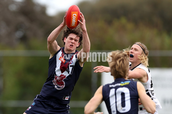 Coates League Boys 2023 - Sandringham v Northern Knights - A-42114958