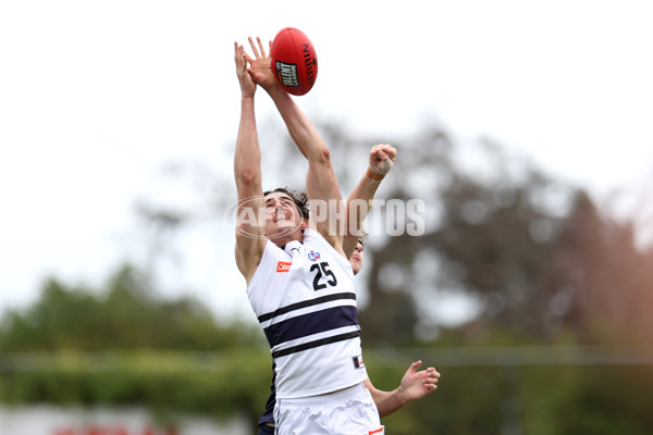 Coates League Boys 2023 - Sandringham v Northern Knights - A-42114968