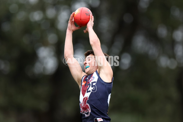 Coates League Boys 2023 - Sandringham v Northern Knights - A-42116037
