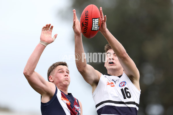 Coates League Boys 2023 - Sandringham v Northern Knights - A-42116050