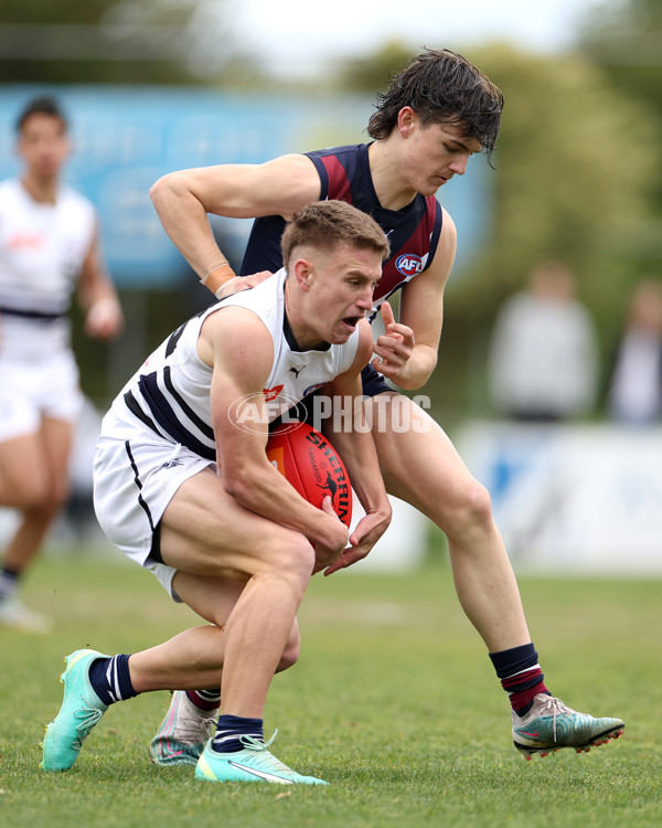 Coates League Boys 2023 - Sandringham v Northern Knights - A-42121345