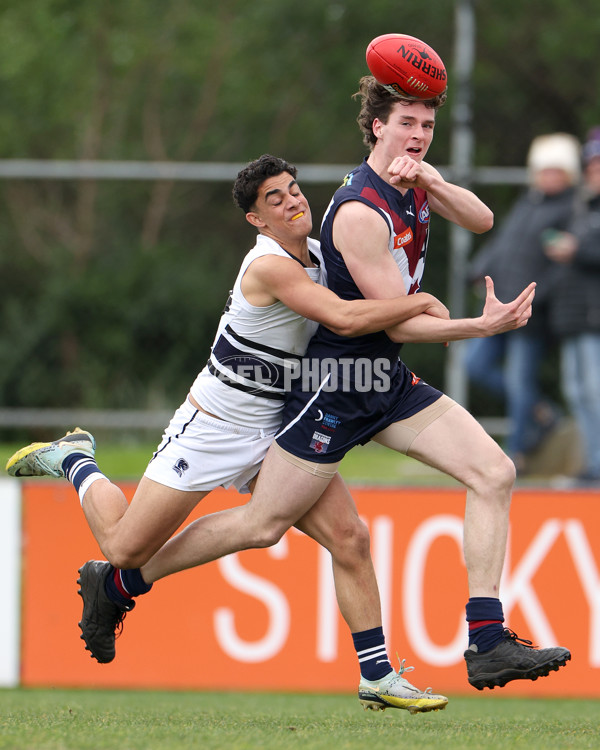 Coates League Boys 2023 - Sandringham v Northern Knights - A-42121406