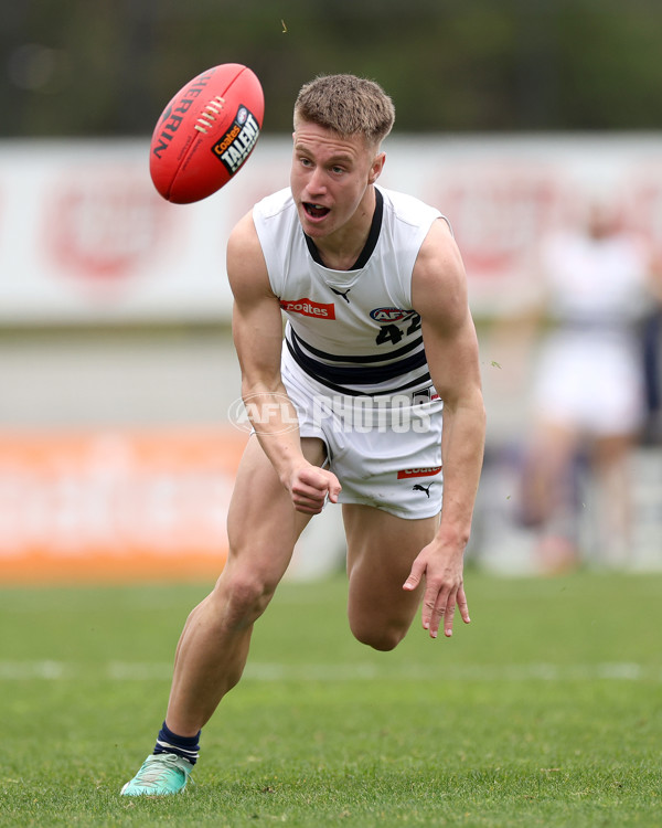 Coates League Boys 2023 - Sandringham v Northern Knights - A-42122974