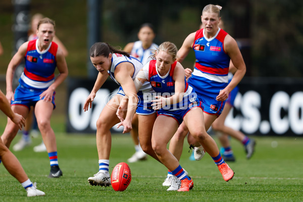 AFLW 2023 Practice Match - Western Bulldogs v North Melbourne - A-42123044