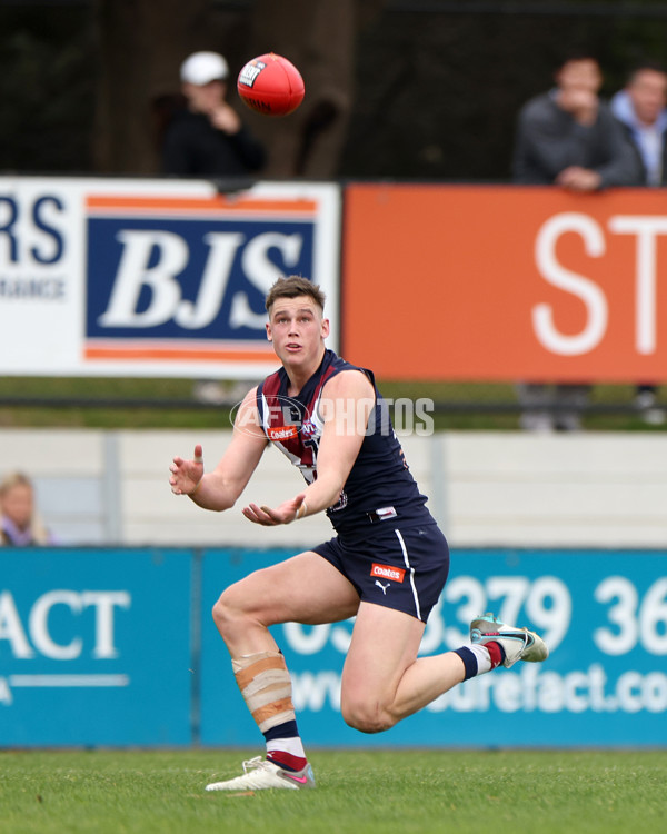 Coates League Boys 2023 - Sandringham v Northern Knights - A-42124192