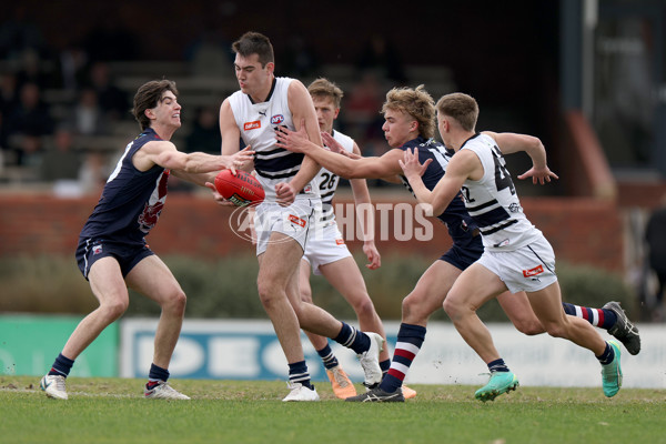 Coates League Boys 2023 - Sandringham v Northern Knights - A-42124197