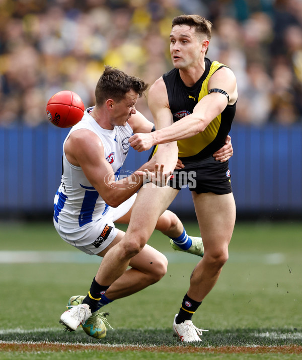 AFL 2023 Round 23 - Richmond v North Melbourne - A-42130258