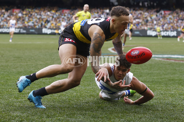 AFL 2023 Round 23 - Richmond v North Melbourne - A-42139287