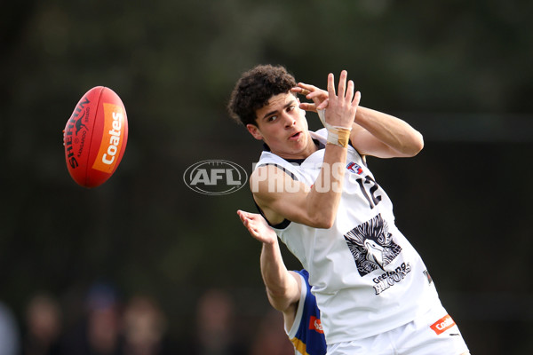 Coates League Boys 2023 - Eastern Ranges v Geelong Falcons - A-42157936