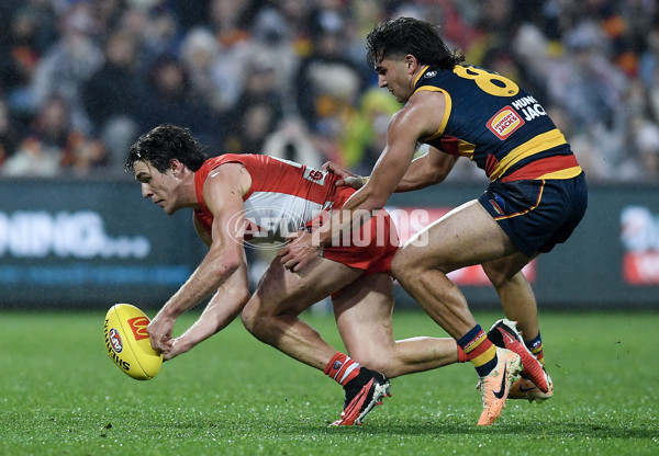 AFL 2023 Round 23 - Adelaide v Sydney - A-42189642