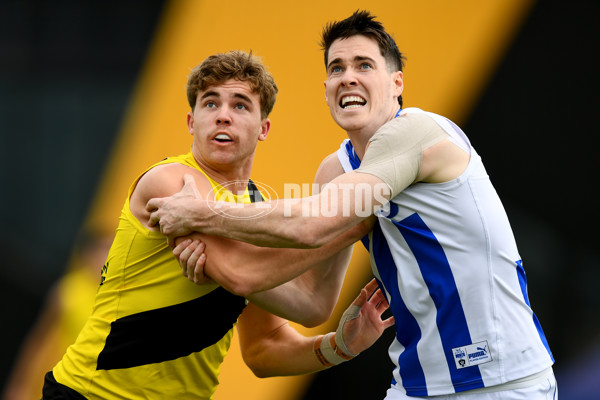 VFL 2023 Round 22 - Richmond v North Melbourne - A-42190405