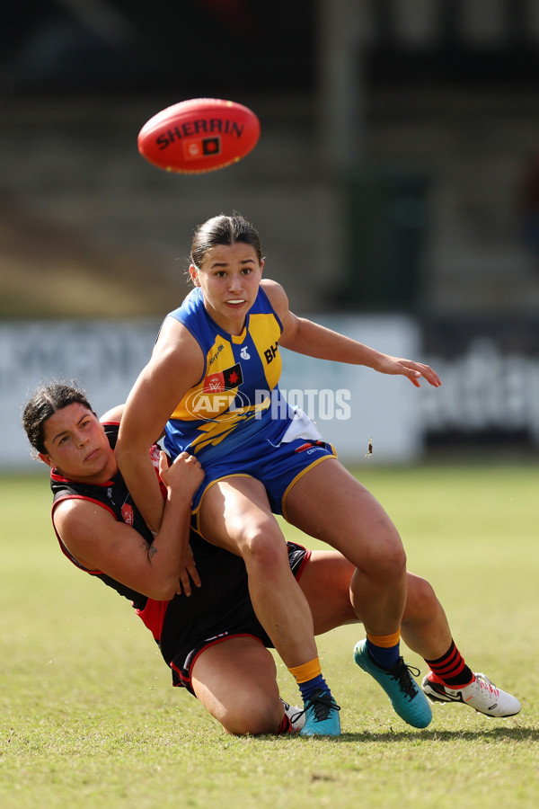 AFLW 2023 Practice Match - West Coast v Essendon - A-42216327