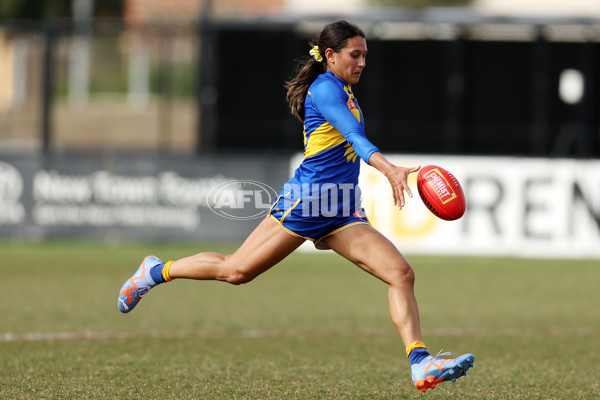 AFLW 2023 Practice Match - West Coast v Essendon - A-42216347