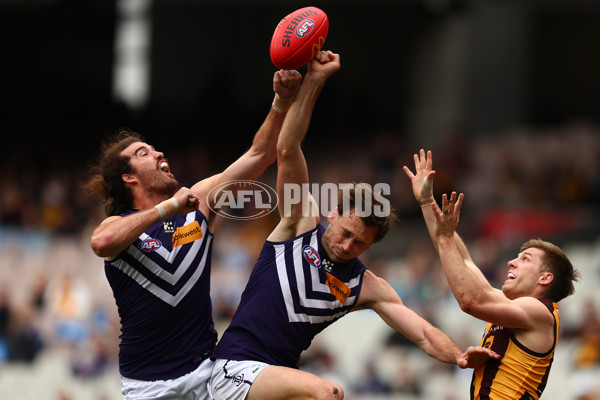 AFL 2023 Round 24 - Hawthorn v Fremantle - A-42444821