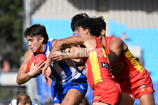 AFL 2023 Round 24 - North Melbourne v Gold Coast - A-42448705