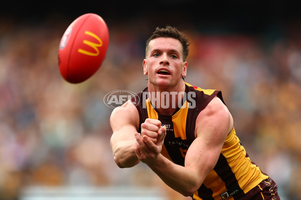 AFL 2023 Round 24 - Hawthorn v Fremantle - A-42448742