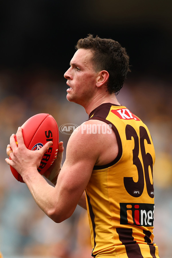 AFL 2023 Round 24 - Hawthorn v Fremantle - A-42448743