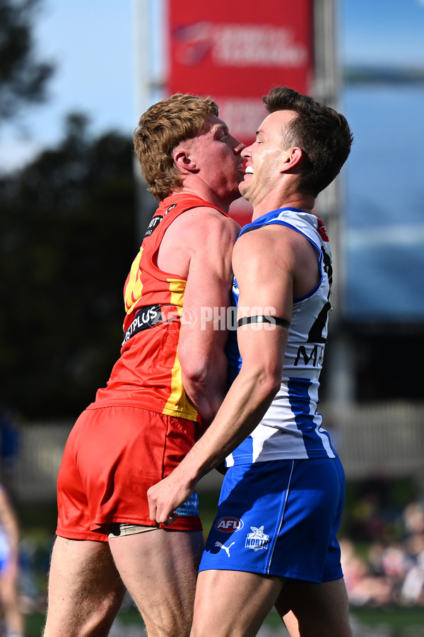 AFL 2023 Round 24 - North Melbourne v Gold Coast - A-42450627