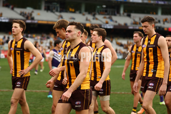 AFL 2023 Round 24 - Hawthorn v Fremantle - A-42457477