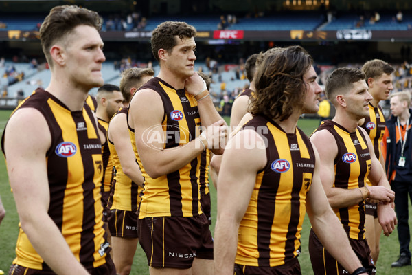 AFL 2023 Round 24 - Hawthorn v Fremantle - A-42457547