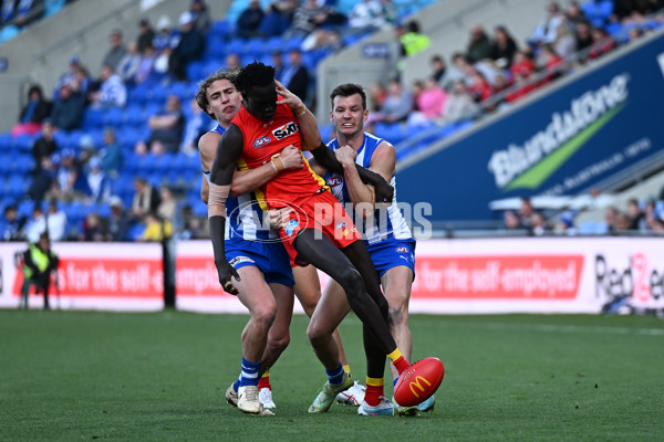 AFL 2023 Round 24 - North Melbourne v Gold Coast - A-42465767