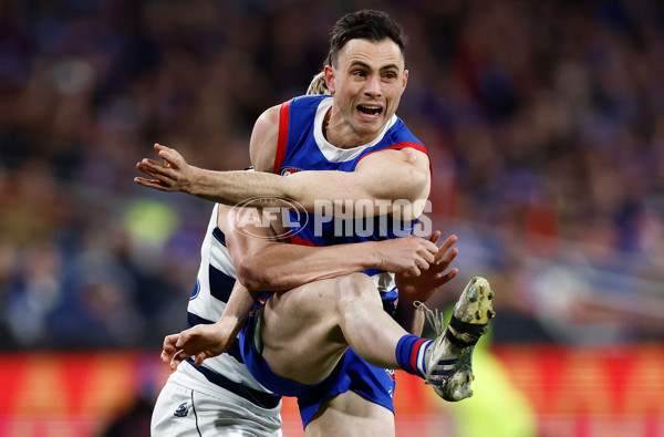 AFL 2023 Round 24 - Geelong v Western Bulldogs - A-42471512