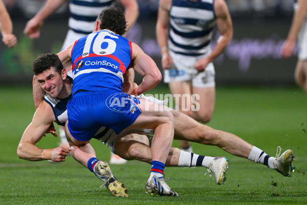 AFL 2023 Round 24 - Geelong v Western Bulldogs - A-42473966