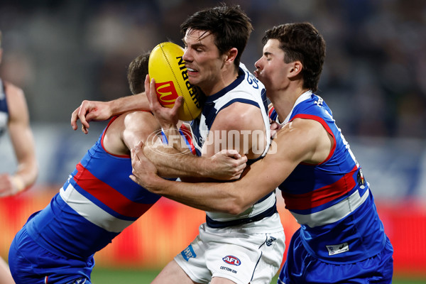 AFL 2023 Round 24 - Geelong v Western Bulldogs - A-42476740