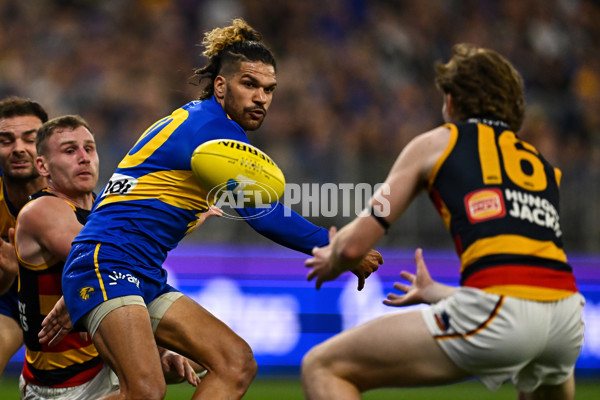 AFL 2023 Round 24 - West Coast v Adelaide - A-42476793