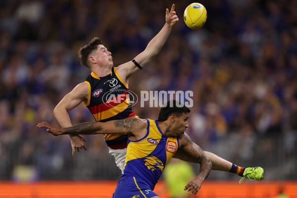 AFL 2023 Round 24 - West Coast v Adelaide - A-42482119