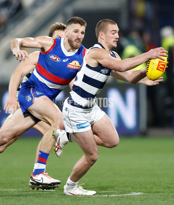 AFL 2023 Round 24 - Geelong v Western Bulldogs - A-42482143