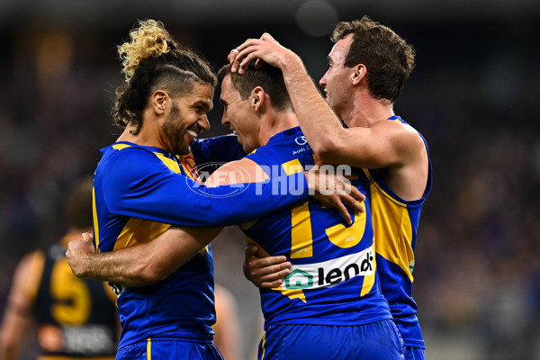 AFL 2023 Round 24 - West Coast v Adelaide - A-42482197