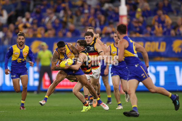 AFL 2023 Round 24 - West Coast v Adelaide - A-42484563