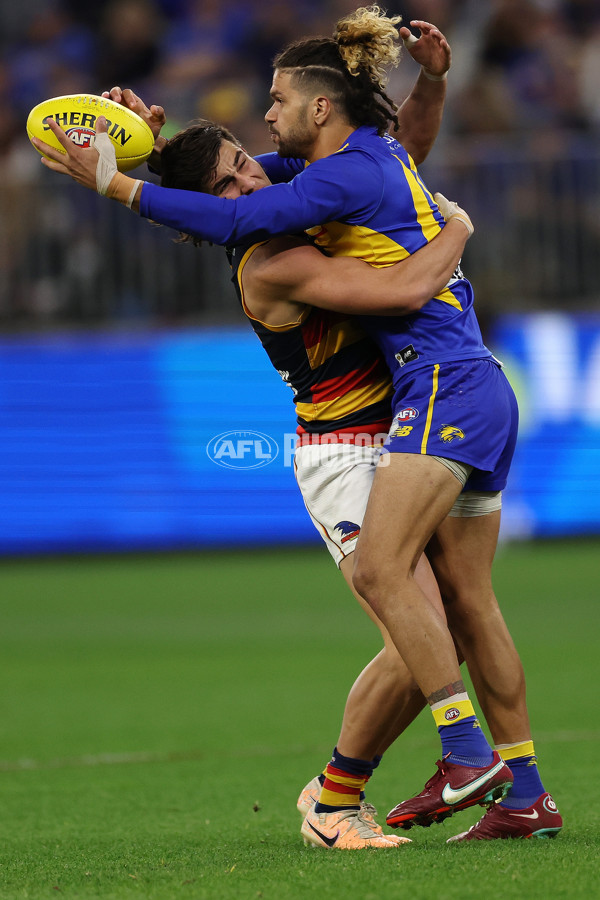 AFL 2023 Round 24 - West Coast v Adelaide - A-42492170