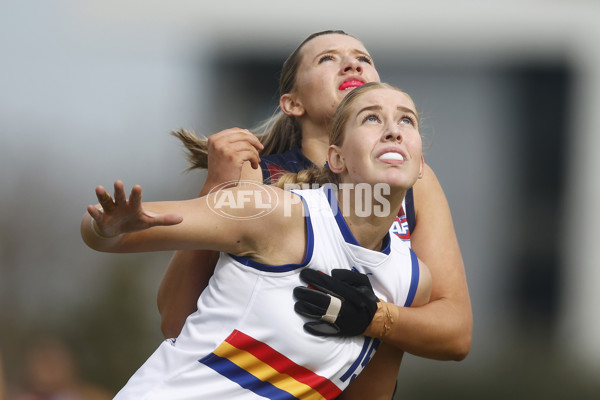 Coates League Girls 2023 - Sandringham Dragons v Eastern Ranges - A-42494553