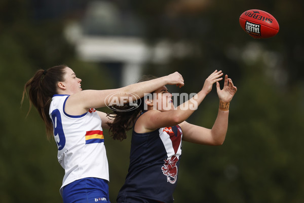 Coates League Girls 2023 - Sandringham Dragons v Eastern Ranges - A-42494578