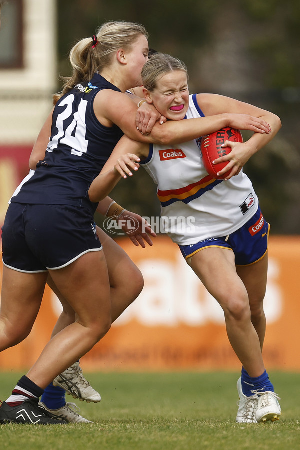 Coates League Girls 2023 - Sandringham Dragons v Eastern Ranges - A-42494586