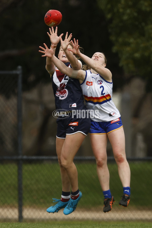 Coates League Girls 2023 - Sandringham Dragons v Eastern Ranges - A-42494594