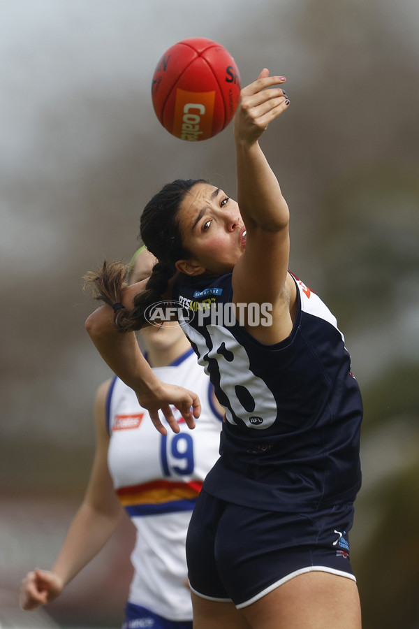 Coates League Girls 2023 - Sandringham Dragons v Eastern Ranges - A-42494849