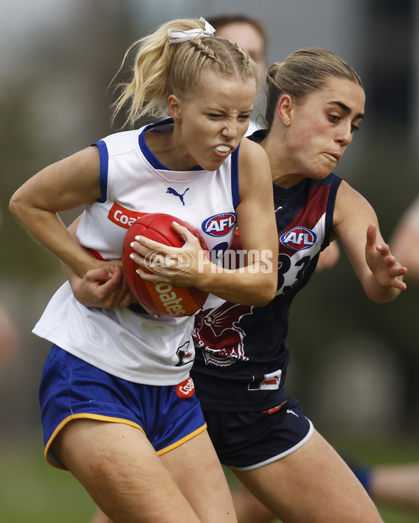 Coates League Girls 2023 - Sandringham Dragons v Eastern Ranges - A-42494874