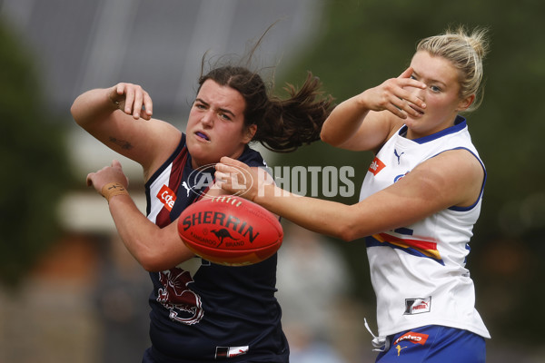 Coates League Girls 2023 - Sandringham Dragons v Eastern Ranges - A-42494890