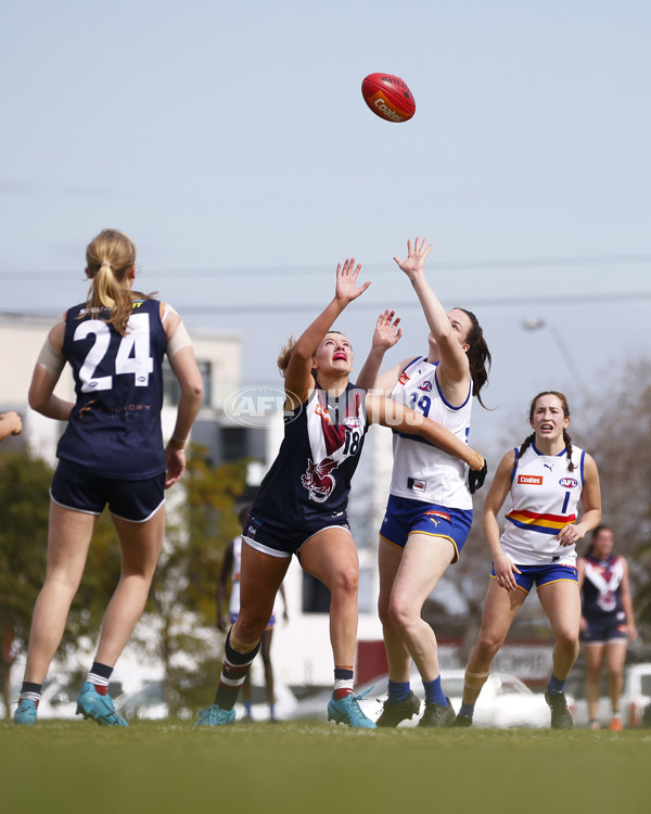 Coates League Girls 2023 - Sandringham Dragons v Eastern Ranges - A-42494898